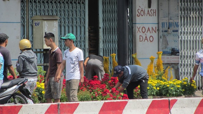 Chiều 30 tết, nhiều nơi không có hoa để bán - ảnh 4